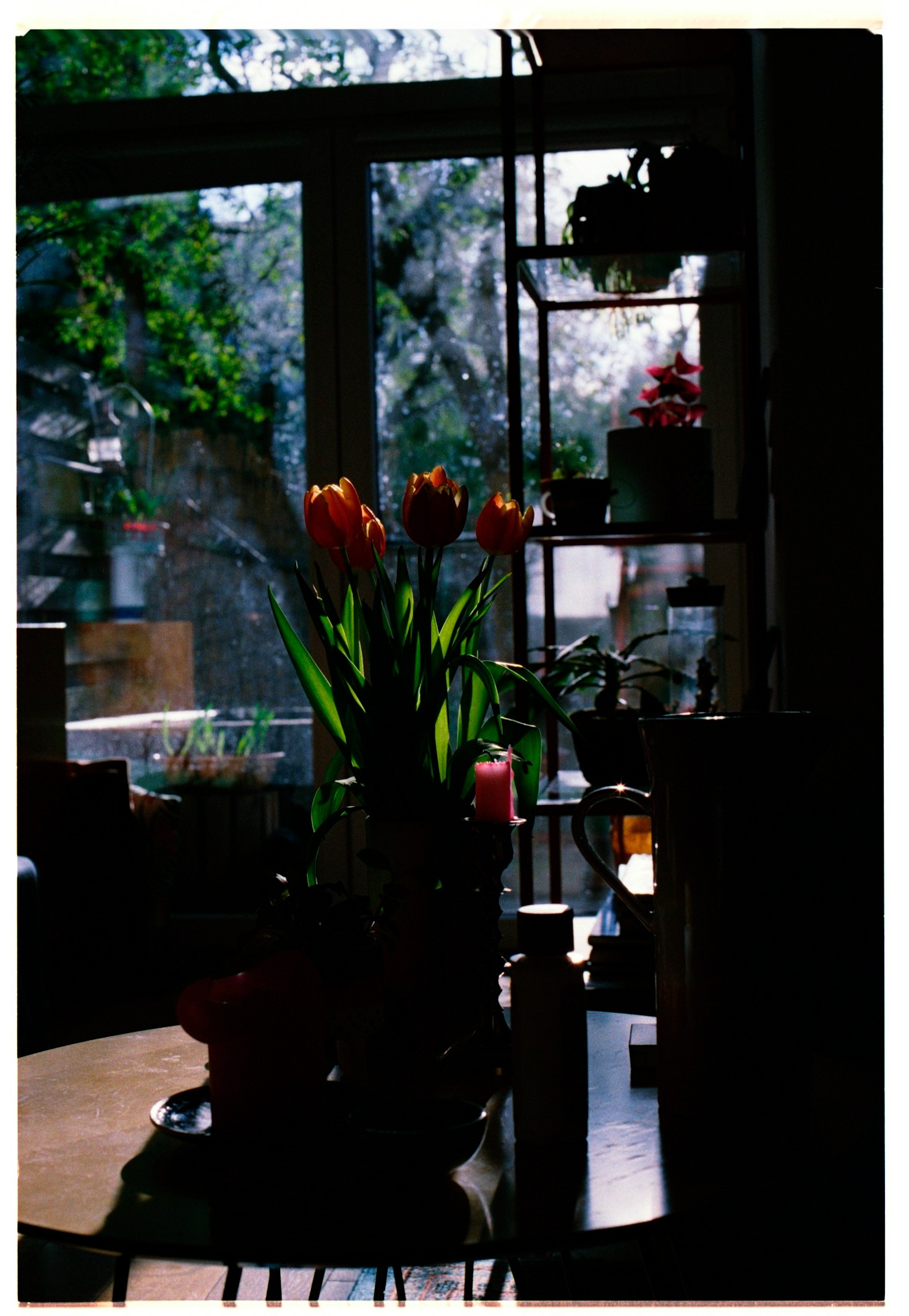 Inspiring Ideas for a Luxurious Lifestyle